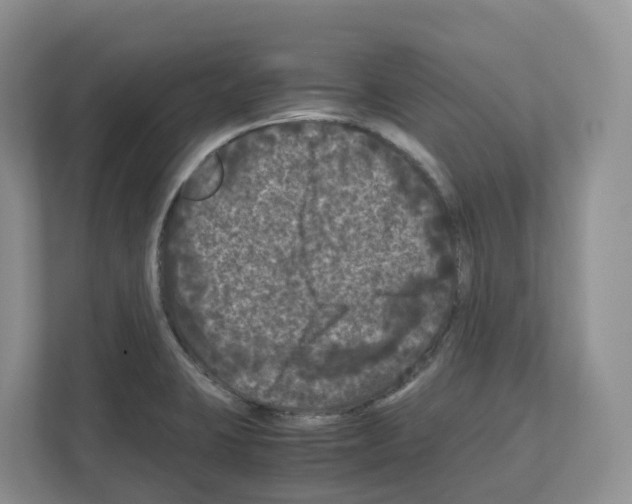 X0000111121423200908111010