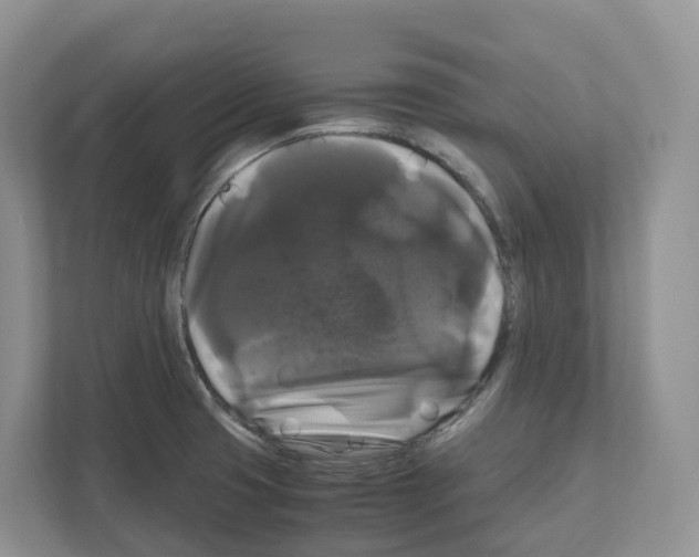 X0000111121425200908111010