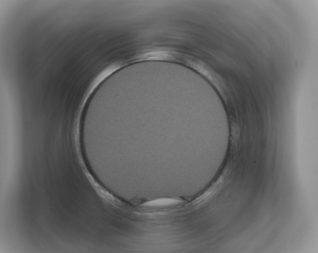 X0000111121426200908111010