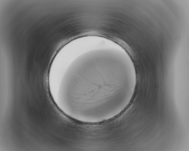 X0000111121428200908111010