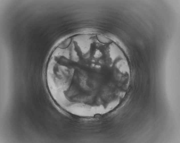 X0000111121429200908111010