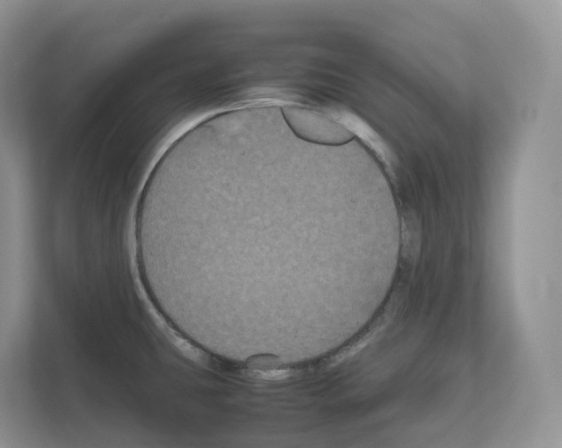 X0000111121431200908111010