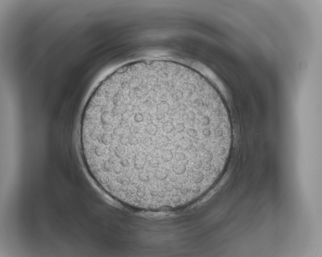 X0000111121432200908111010