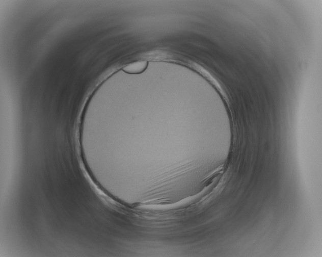 X0000111121434200908111010