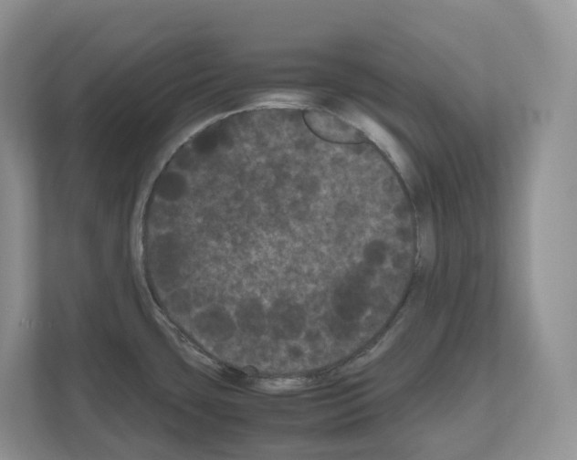X0000111121435200908111010