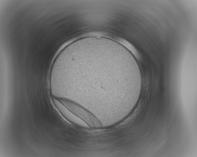X0000111121436200908111010