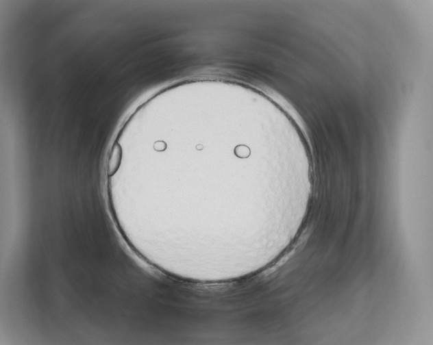 X0000111121437200908111010