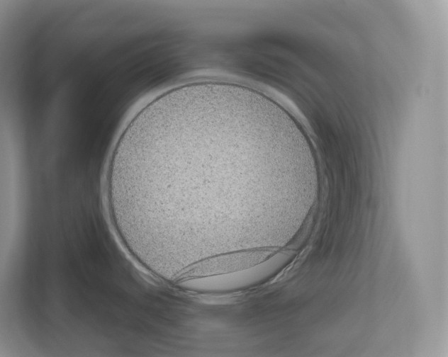 X0000111121440200908111010