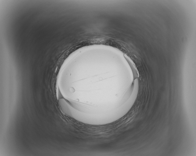 X0000111121441200908111009