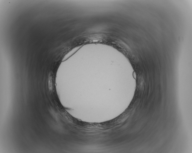 X0000111121442200908111009