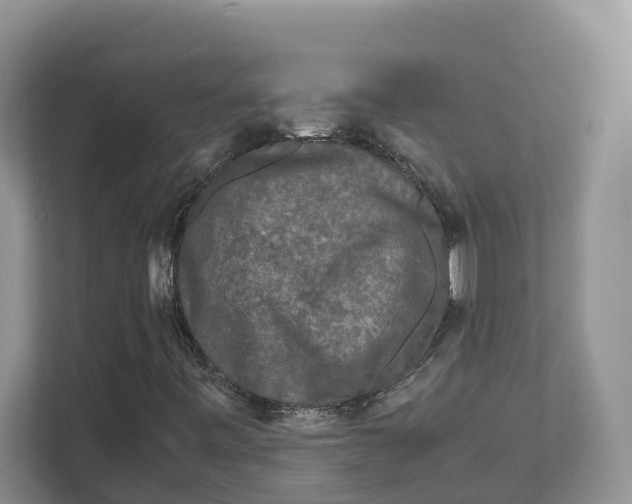 X0000111121443200908111009