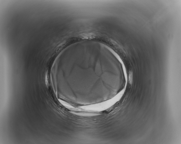 X0000111121444200908111009