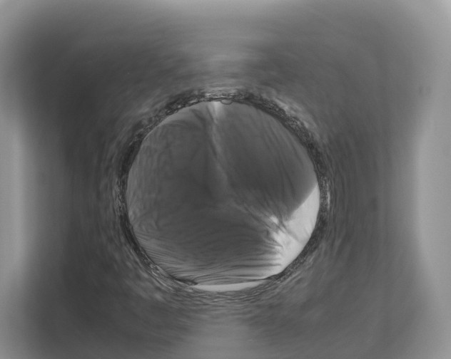 X0000111121445200908111009