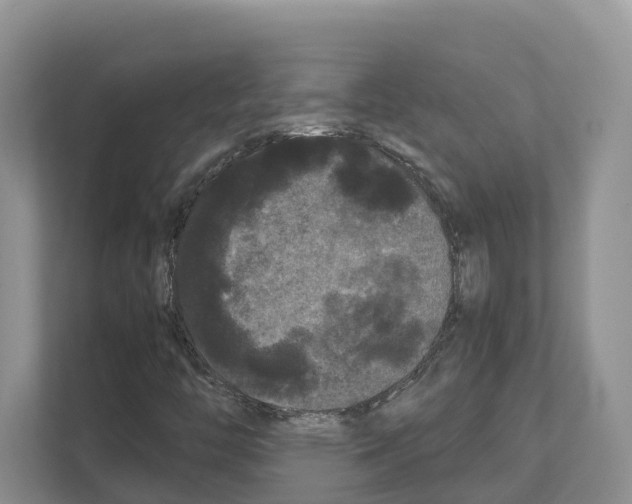 X0000111121446200908111009
