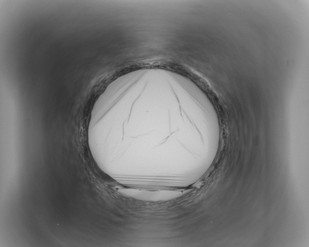 X0000111121447200908111009
