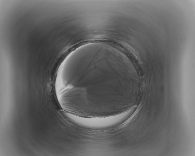 X0000111121449200908111009