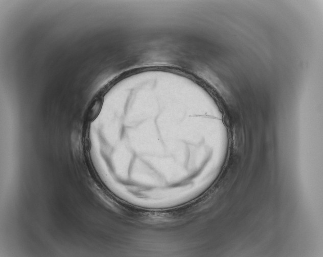 X0000111121452200908111009