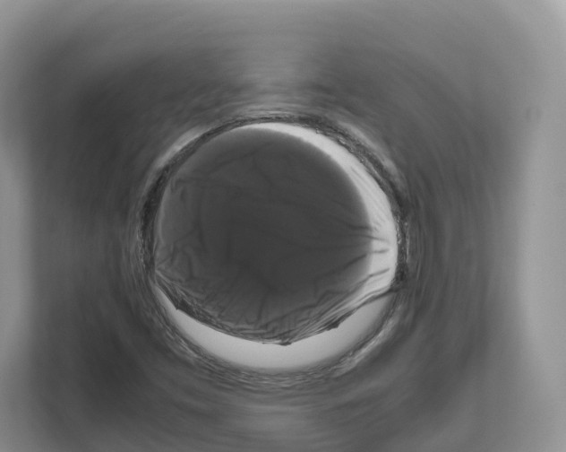 X0000111121453200908111009