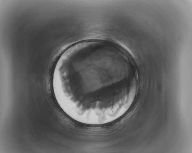 X0000111121455200908111009