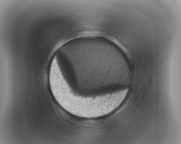 X0000111121459200908111009