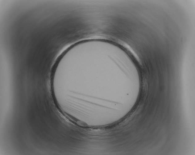 X0000111121460200908111009