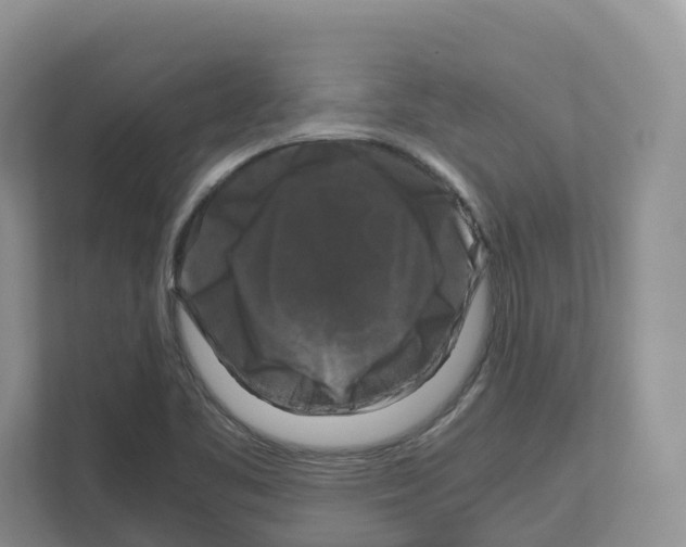 X0000111121461200908111009