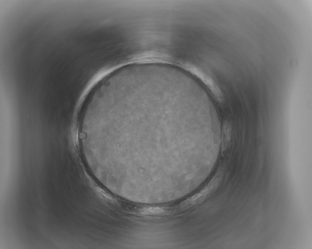 X0000111121462200908111009