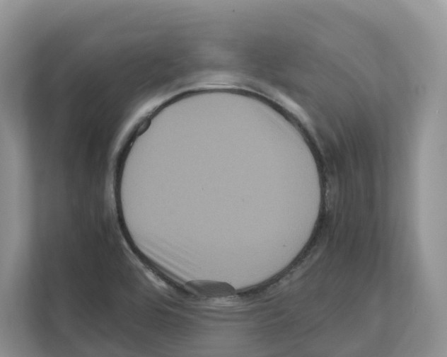 X0000111121464200908111009
