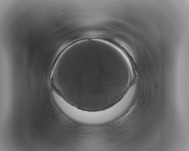 X0000111121465200908111009