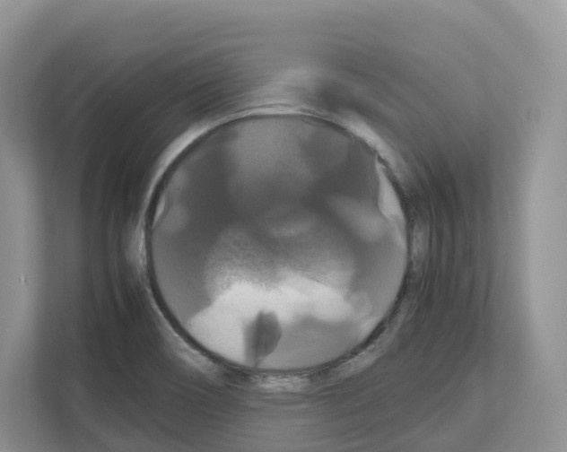 X0000111121466200908111009