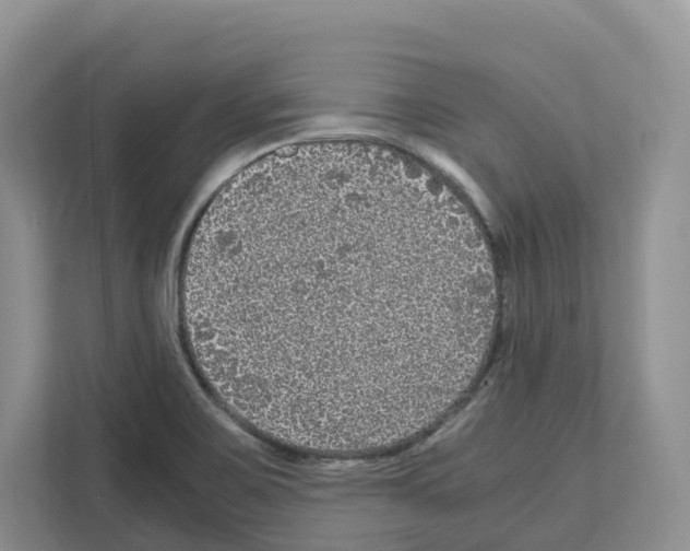 X0000111121467200908111009
