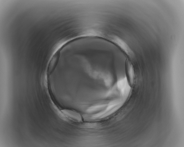 X0000111121468200908111009