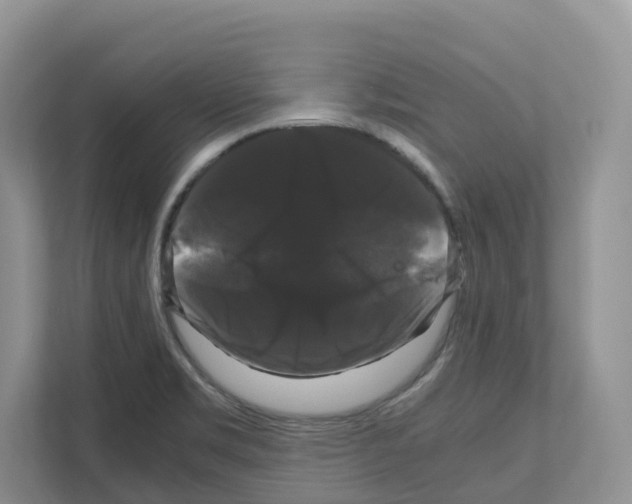X0000111121469200908111009