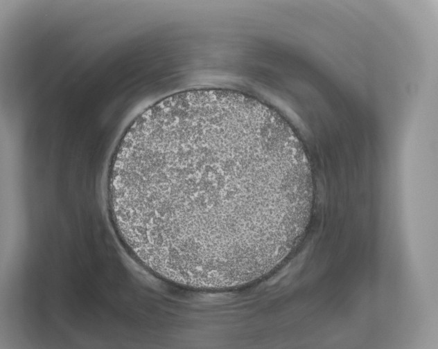 X0000111121471200908111009