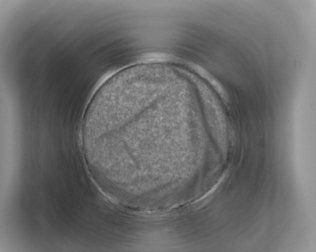 X0000111121473200908111009