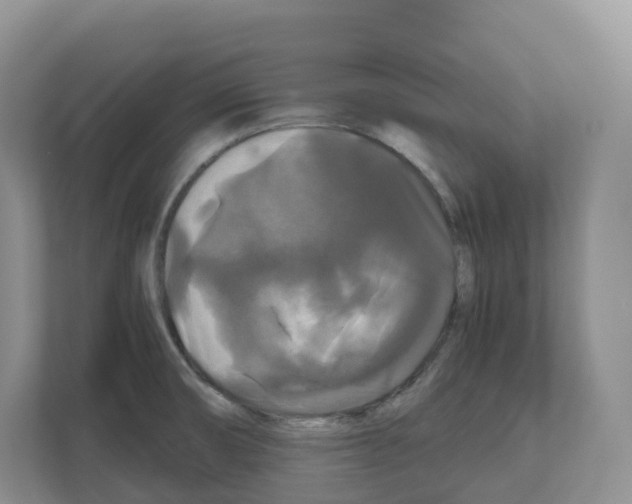X0000111121474200908111009