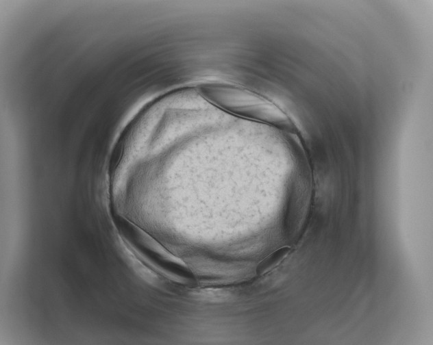 X0000111121476200908111009