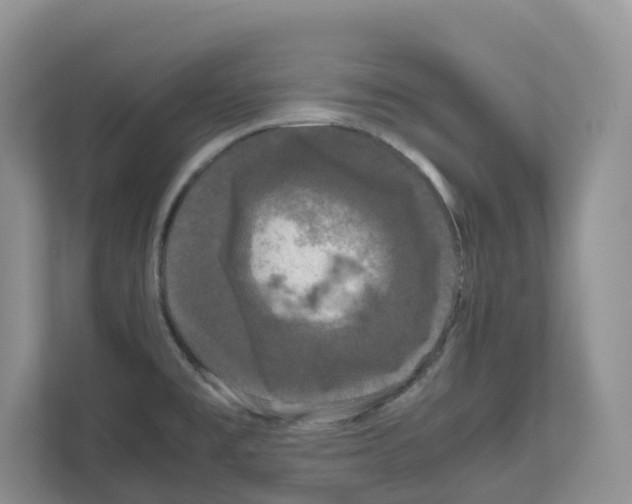 X0000111121477200908111009
