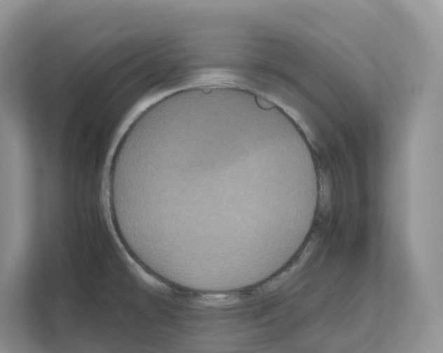 X0000111121478200908111009