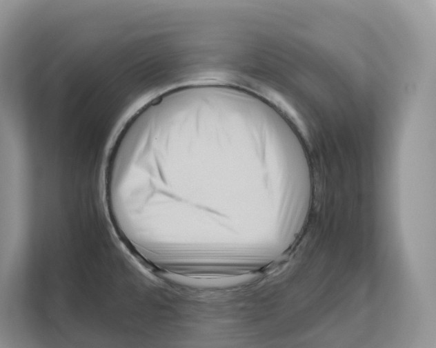 X0000111121480200908111009