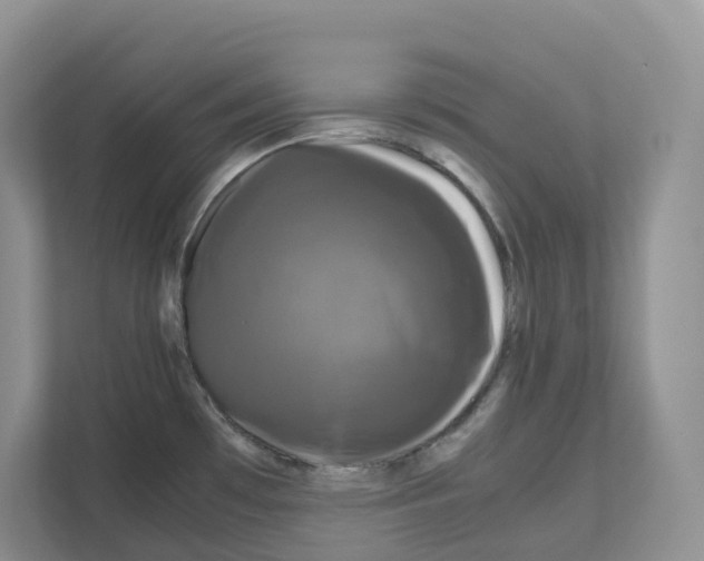 X0000111121481200908111009