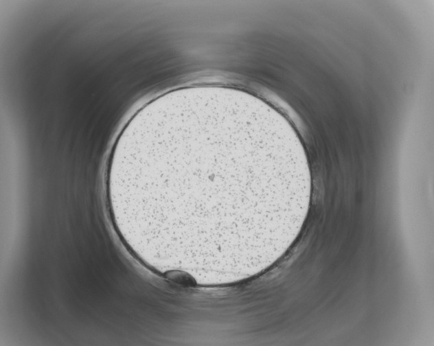 X0000111121483200908111009