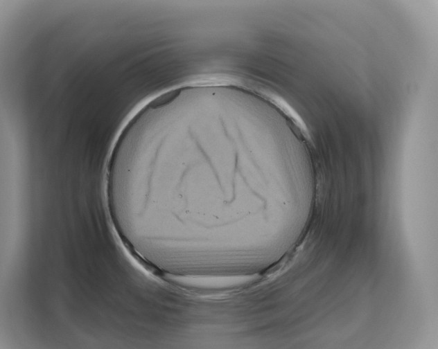 X0000111121484200908111009