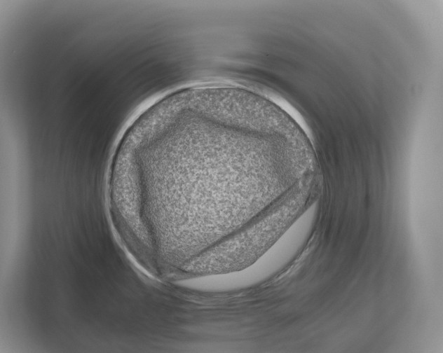 X0000111121485200908111009