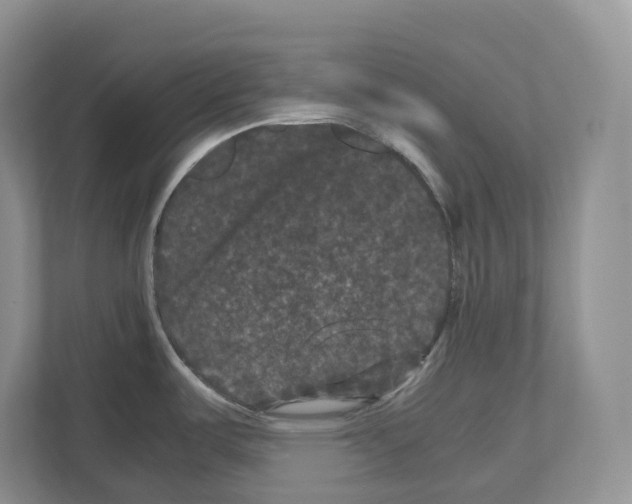 X0000111121487200908111009