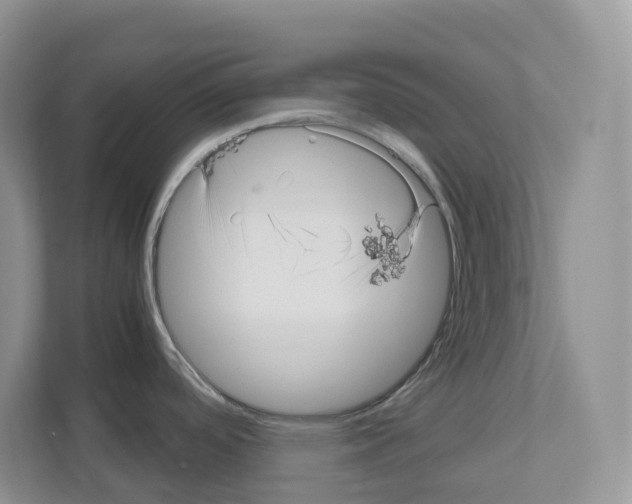 X0000111121488200908111009