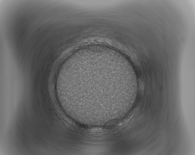 X0000111121489200908111008