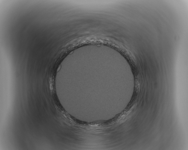 X0000111121490200908111008
