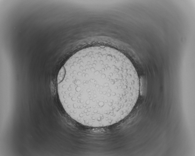X0000111121491200908111008