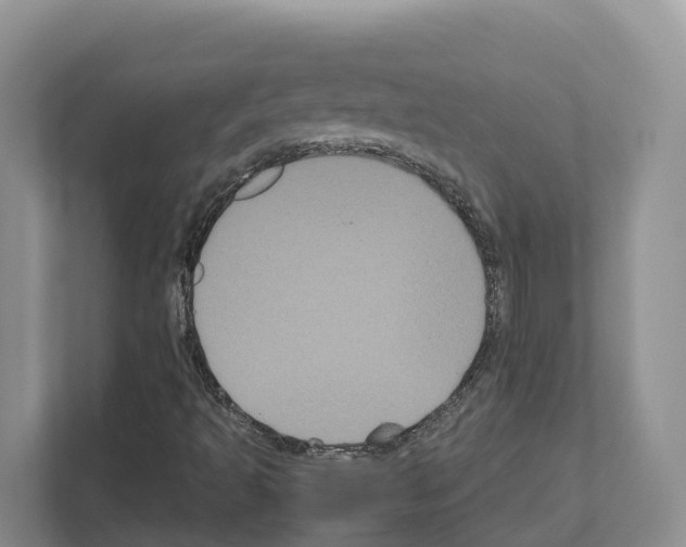 X0000111121493200908111008
